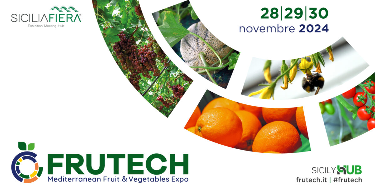 Frutech 2024